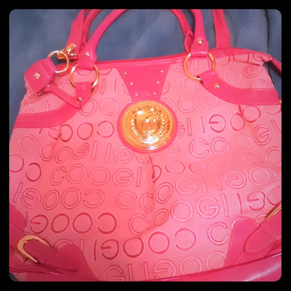 COOGI PURSE